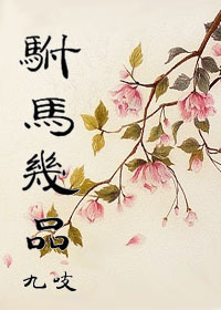 驸马几品